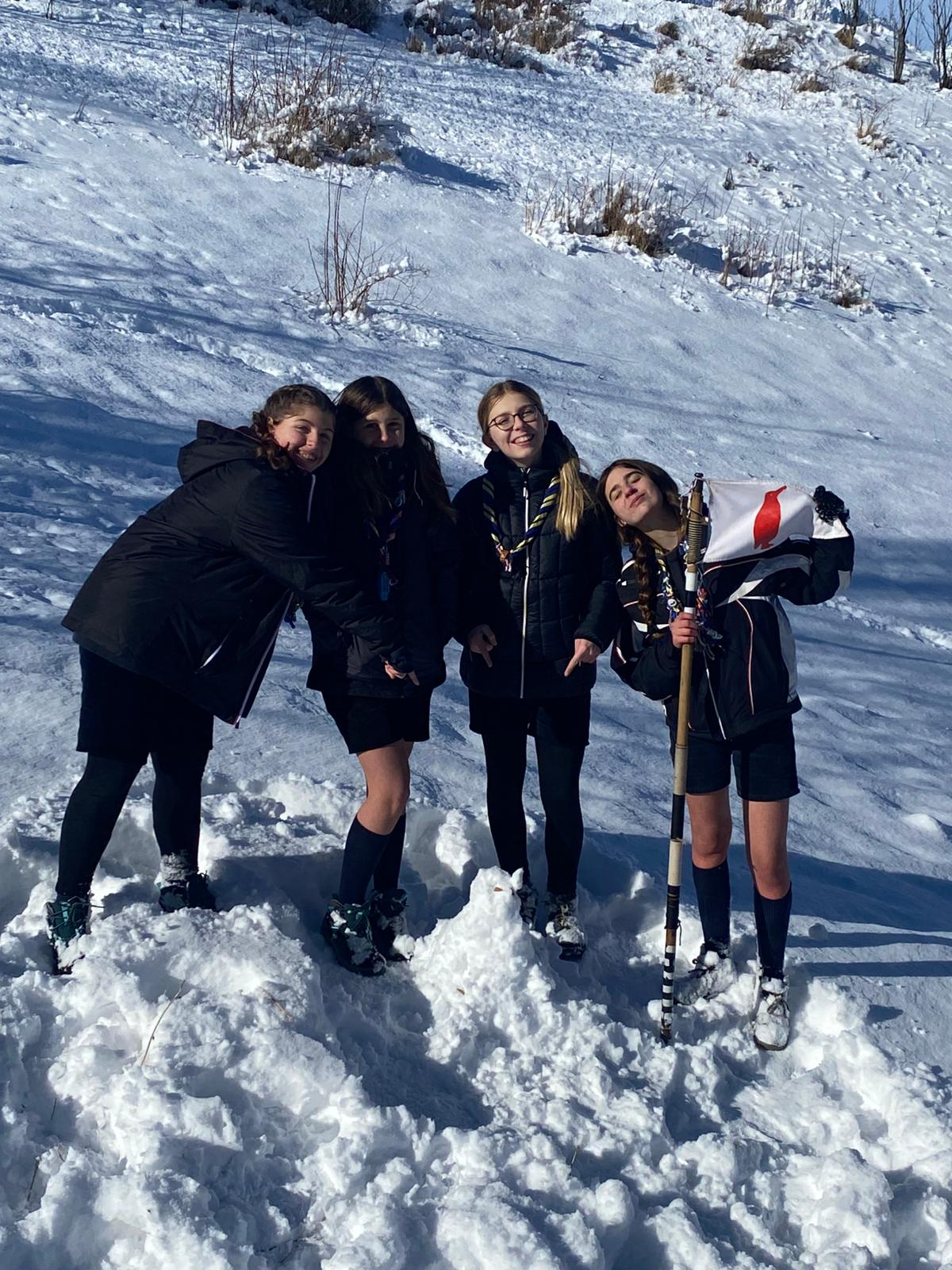 Pinguine