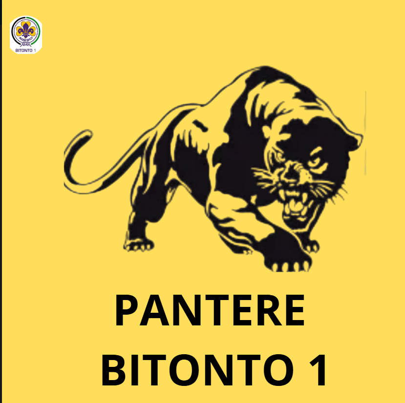 Pantera